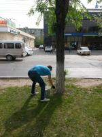 Общегородской субботник 29.04.2016 