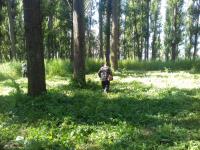 Операция "Мак-2016".