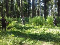 Операция "Мак-2016".