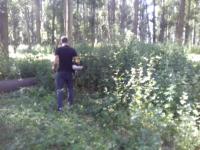 Операция "Мак-2016".