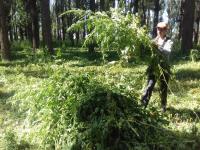 Операция "Мак-2016".