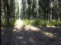 Рейд по скосу и уничтожению дикорастущих наркосодержащих растений. 