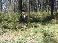 Рейд по скосу и уничтожению дикорастущих наркосодержащих растений. 