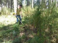 Рейд по скосу и уничтожению дикорастущих наркосодержащих растений. 