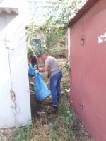 День чистоты