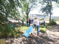 День чистоты