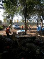 День чистоты