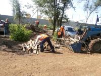 День чистоты