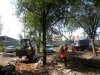 День чистоты