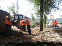 День чистоты