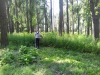 Информация по скосу и уничтожению дикорастущей наркосодержащих растений на территории района.