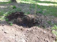 Информация по скосу и уничтожению дикорастущей наркосодержащих растений на территории района.