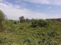 Рейдовые мероприятия по скосу и уничтожению дикорастущих наркосодержащих растений на территории района