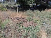 Рейдовые мероприятия по скосу и уничтожению дикорастущих наркосодержащих растений на территории района