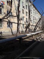 Управляющая компания «Альянс» принимает активное участие в работе по благоустройству придомовой территории.