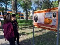 В Братском саду открыли фотовыставку в честь 76-летия Победы