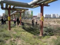 23.04.2016 силами сотрудников администрации Ленинского района и структурных подразделений администрации муниципального образования «Город Астрахань» проведен общероссийский субботник