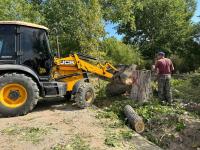 Сегодня в Астрахани опиливали деревья и мыли памятники