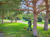 Сегодня в Астрахани опиливали деревья и мыли памятники