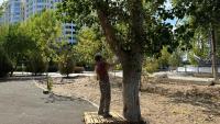 Сегодня в Астрахани опиливали деревья и мыли памятники