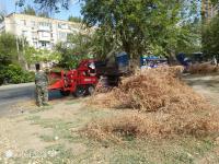 Сегодня в Астрахани опиливали деревья и мыли памятники