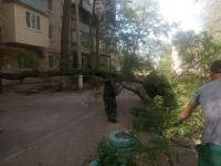 Коммунальные службы устраняют последствия сильного ветра