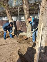 Астраханский городской архив начал весеннюю уборку