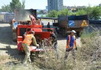 Более 700 кубометров спиленных веток вывезли сегодня с улиц Астрахани