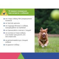 Есть простые правила, которые с большой вероятностью обезопасят Вашего ребенка от конфликта с чужой собакой