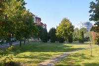 В Астрахани восстанавливают поливочный водопровод