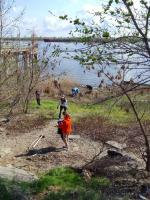 В парке Знаний высадили деревья