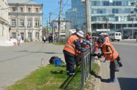 На склоне Астраханского кремля высадили 20 берез