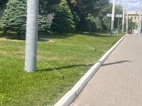 До конца мая завершатся пусконаладочные работы на поливочных водопроводах Астрахани