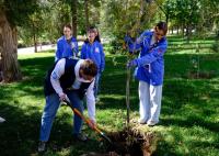 На откосе Астраханского кремля высадили дубы