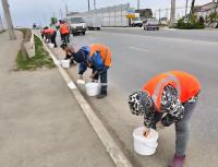 Почти две тысячи тонн отходов вывезено с улиц Астрахани за апрель