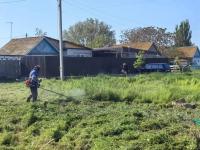 С начала года в Астрахани скосили почти 128 гектаров сорной травы