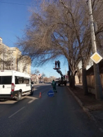 Более трехсот аварийных деревьев опилено с начала года