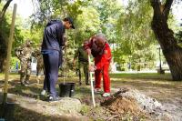 В День пожилого человека в Братском саду высадили деревья