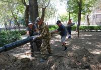 В Морском саду модернизируют полив