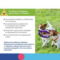 Есть простые правила, которые с большой вероятностью обезопасят Вашего ребенка от конфликта с чужой собакой