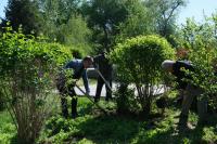 Сегодня в Астрахани прошел этносубботник