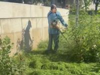 Акваторию «Стрелки» зачищают от водорослей, площадь Ленина – от сорняков