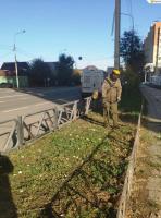 С начала года в Астрахани скосили сорняков на площади в 500 гектаров