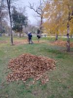 Астраханские парки и скверы готовят к морозам