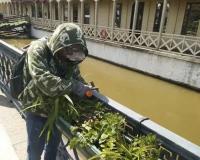 Около 30 тысяч единиц цветочной рассады уже высадили в парках и скверах города