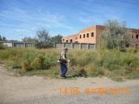 Произведен покос сорной карантинной растительности.