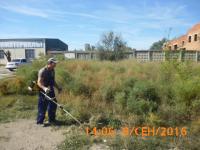 Произведен покос сорной карантинной растительности.