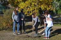 На территории района проведены мероприятия по благоустройству и озеленению района «Красивый район руками жителей»