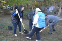 На территории района проведены мероприятия по благоустройству и озеленению района «Красивый район руками жителей»