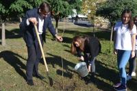 На территории района проведены мероприятия по благоустройству и озеленению района «Красивый район руками жителей»